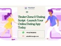 tinder-clone-dating-script-launch-your-online-dating-app-today-small-0