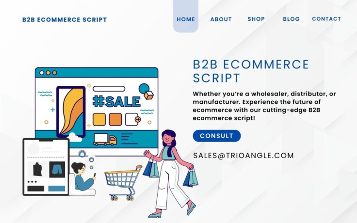 power-your-online-b2b-marketplace-with-our-advanced-b2b-ecommerce-script-big-0