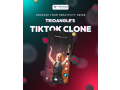 unleash-your-creativity-using-trioangles-tiktok-clone-small-0